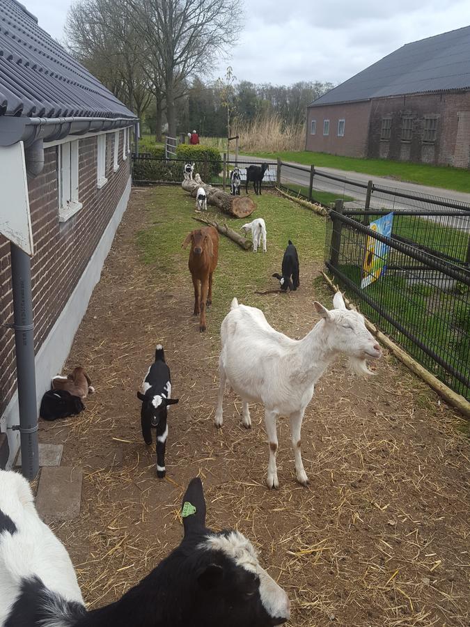 De Priesnitzhoeve Laag-Soeren ภายนอก รูปภาพ